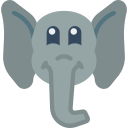 Elefante