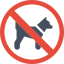 Prohibido mascotas