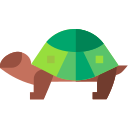 Tortuga icon