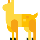 llama