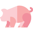 Cerdo icon