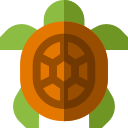 Tortuga