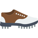 Zapato icon