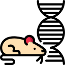 Ratón