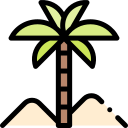 Oasis icon