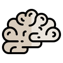 Cerebro icon