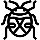 빈대 