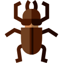 Cucaracha icon