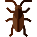 Cucaracha icon