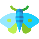 Polilla icon