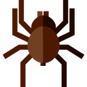 Tarántula icon