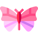 Mariposa icon