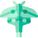 Polilla icon