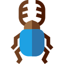 Cucaracha icon