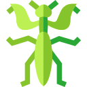 mantis icon