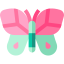 Mariposa icon