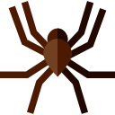 Araña icon