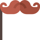 Bigote 