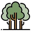 Bosque icon