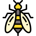 Abeja