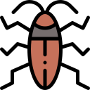 Cucaracha icon