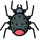 Araña icon