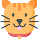 Gato icon