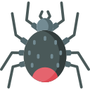 Araña icon