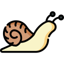 Caracol icon