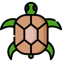 Tortuga icon