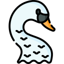 Cisne icon