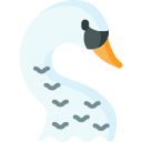 Cisne icon