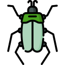 Cucaracha icon