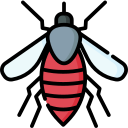 Mosquito icon