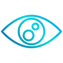 ojo icon