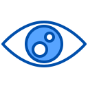 ojo icon