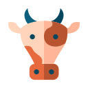 Vaca