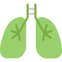 Pulmones