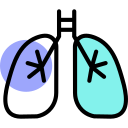 Pulmones icon