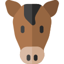 Caballo icon