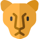 Tigre icon