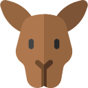 Canguro icon