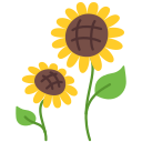 Girasol icon