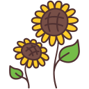 Girasol icon