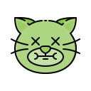 katze 