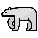 Oso polar