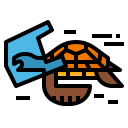 Tortuga