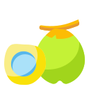 Coco icon