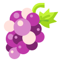 Uvas icon