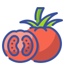 Tomate icon